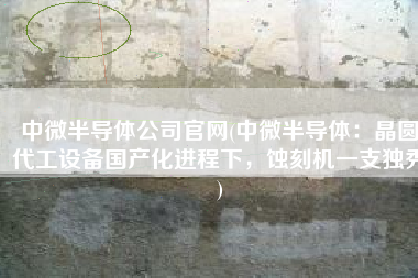 中微半导体公司官网(中微半导体：晶圆代工设备国产化进程下，蚀刻机一支独秀)
