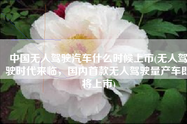 中国无人驾驶汽车什么时候上市(无人驾驶时代来临，国内首款无人驾驶量产车即将上市)