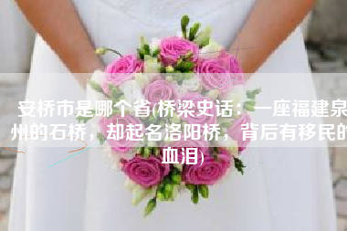 安桥市是哪个省(桥梁史话：一座福建泉州的石桥，却起名洛阳桥，背后有移民的血泪)