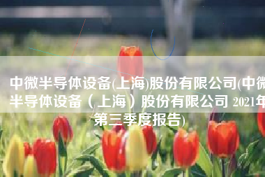中微半导体设备(上海)股份有限公司(中微半导体设备（上海）股份有限公司 2021年第三季度报告)