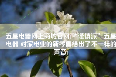 五星电器网上商城官网(“谨慎派”五星电器 对家电业的新零售给出了不一样的声音)