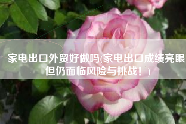 家电出口外贸好做吗(家电出口成绩亮眼，但仍面临风险与挑战！)