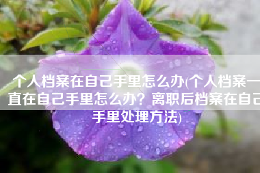 个人档案在自己手里怎么办(个人档案一直在自己手里怎么办？离职后档案在自己手里处理方法)