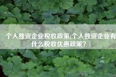 个人独资企业税收政策(个人独资企业有什么税收优惠政策？)