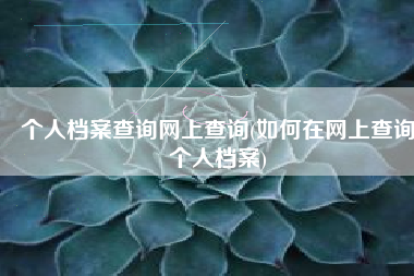 个人档案查询网上查询(如何在网上查询个人档案)