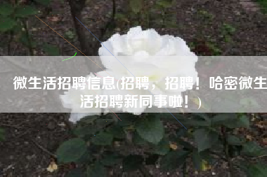 微生活招聘信息(招聘，招聘！哈密微生活招聘新同事啦！)