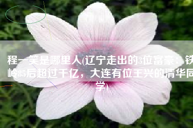 程一笑是哪里人(辽宁走出的3位富豪：铁岭85后超过千亿，大连有位王兴的清华同学)