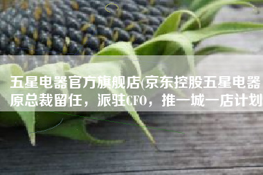 五星电器官方旗舰店(京东控股五星电器：原总裁留任，派驻CFO，推一城一店计划)