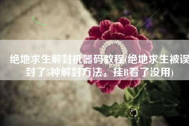 绝地求生解封机器码教程(绝地求生被误封了5种解封方法，挂B看了没用)