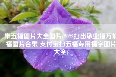 集五福图片大全图片(2022扫出敬业福万能福图片合集 支付宝扫五福专用福字图片大全)