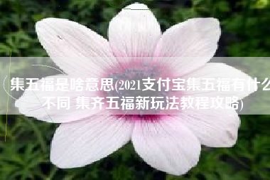 集五福是啥意思(2021支付宝集五福有什么不同 集齐五福新玩法教程攻略)