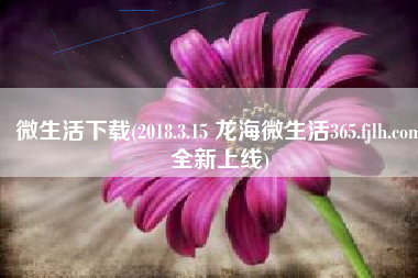 微生活下载(2018.3.15 龙海微生活365.fjlh.com全新上线)