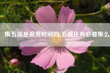 集五福是浪费时间吗(五福还有必要集么)