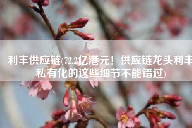 利丰供应链(72.2亿港元！供应链龙头利丰私有化的这些细节不能错过)