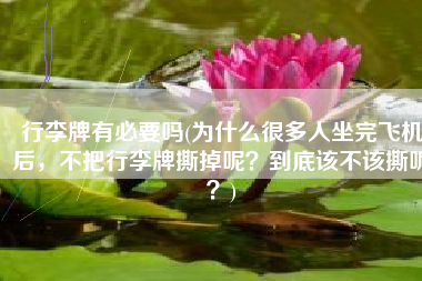 行李牌有必要吗(为什么很多人坐完飞机后，不把行李牌撕掉呢？到底该不该撕呢？)