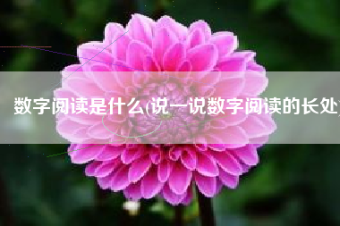 数字阅读是什么(说一说数字阅读的长处)