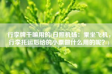 行李牌干嘛用的(日照机场：乘坐飞机，行李托运后给的小票做什么用的呢？)