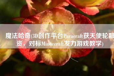 魔法哈奇(3D创作平台Paracraft获天使轮融资，对标Mincecraft发力游戏教学)
