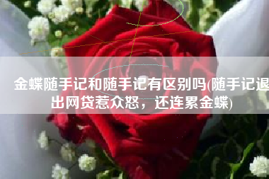 金蝶随手记和随手记有区别吗(随手记退出网贷惹众怒，还连累金蝶)