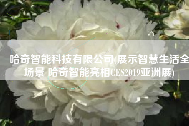 哈奇智能科技有限公司(展示智慧生活全场景 哈奇智能亮相CES2019亚洲展)