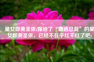 星女郎黄圣依(嫁给了“霸道总裁”的星女郎黄圣依，已经不在乎红不红了吧)