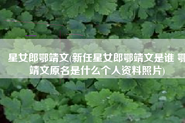 星女郎鄂靖文(新任星女郎鄂靖文是谁 鄂靖文原名是什么个人资料照片)