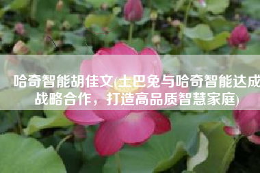 哈奇智能胡佳文(土巴兔与哈奇智能达成战略合作，打造高品质智慧家庭)