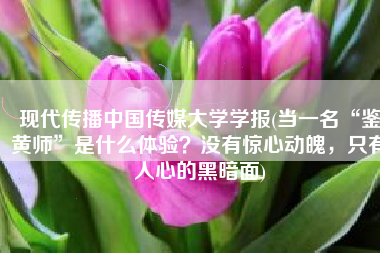 现代传播中国传媒大学学报(当一名“鉴黄师”是什么体验？没有惊心动魄，只有人心的黑暗面)
