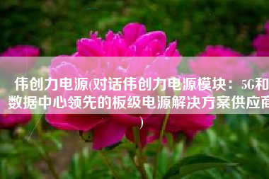 伟创力电源(对话伟创力电源模块：5G和数据中心领先的板级电源解决方案供应商)