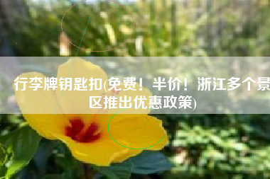 行李牌钥匙扣(免费！半价！浙江多个景区推出优惠政策)