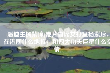 潘迪生杨紫琼(港片首席女打星杨紫琼，在港圈什么地位，和四大功夫巨星什么交情)