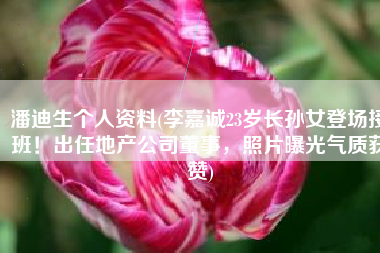 潘迪生个人资料(李嘉诚23岁长孙女登场接班！出任地产公司董事，照片曝光气质获赞)