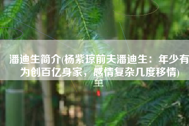 潘迪生简介(杨紫琼前夫潘迪生：年少有为创百亿身家，感情复杂几度移情)