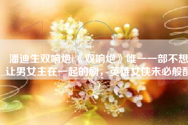 潘迪生双响炮(《双响炮》唯一一部不想让男女主在一起的剧，英雄女侠未必般配)