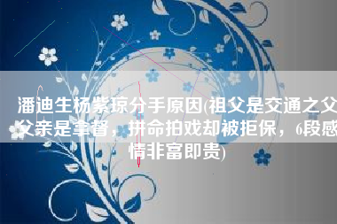 潘迪生杨紫琼分手原因(祖父是交通之父父亲是拿督，拼命拍戏却被拒保，6段感情非富即贵)