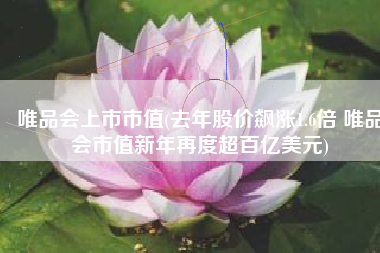 唯品会上市市值(去年股价飙涨1.6倍 唯品会市值新年再度超百亿美元)