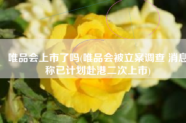 唯品会上市了吗(唯品会被立案调查 消息称已计划赴港二次上市)