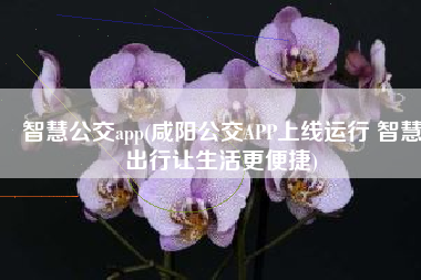 智慧公交app(咸阳公交APP上线运行 智慧出行让生活更便捷)