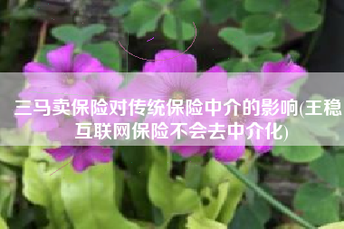三马卖保险对传统保险中介的影响(王稳：互联网保险不会去中介化)