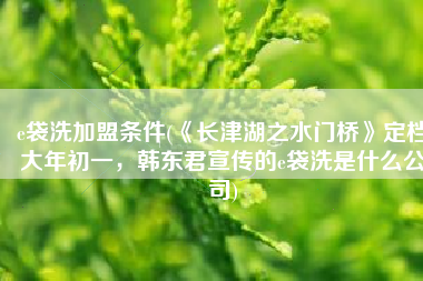 e袋洗加盟条件(《长津湖之水门桥》定档大年初一，韩东君宣传的e袋洗是什么公司)