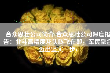 合众思壮公司简介(合众思壮公司深度报告：北斗高精度龙头腾飞在即，军民融合迈出坚实一步)