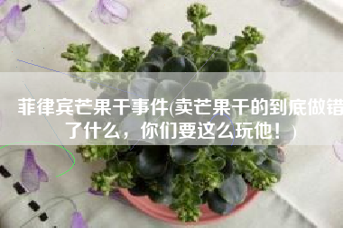 菲律宾芒果干事件(卖芒果干的到底做错了什么，你们要这么玩他！)