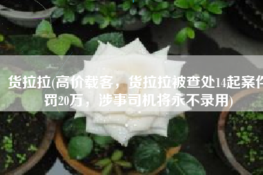 货拉拉(高价载客，货拉拉被查处14起案件罚20万，涉事司机将永不录用)