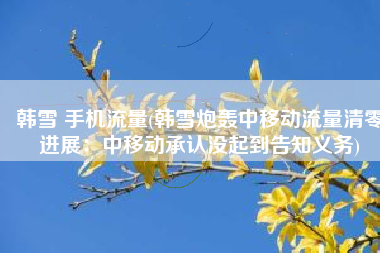 韩雪 手机流量(韩雪炮轰中移动流量清零进展：中移动承认没起到告知义务)