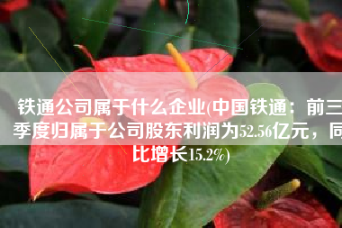 铁通公司属于什么企业(中国铁通：前三季度归属于公司股东利润为52.56亿元，同比增长15.2%)