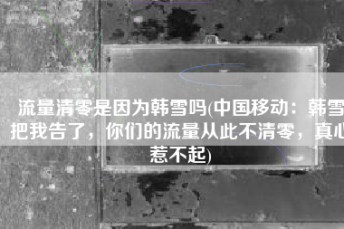 流量清零是因为韩雪吗(中国移动：韩雪把我告了，你们的流量从此不清零，真心惹不起)
