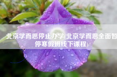 北京学而思停止办学(北京学而思全面暂停寒假班线下课程)