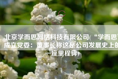 北京学而思网络科技有限公司(“学而思”成立党委：董事长称这是公司发展史上的一座里程碑)