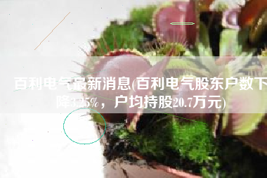 百利电气最新消息(百利电气股东户数下降3.25%，户均持股20.7万元)