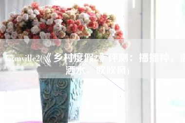 farmville2(《乡村度假2》评测：播播种，洒洒水，吹吹风)
